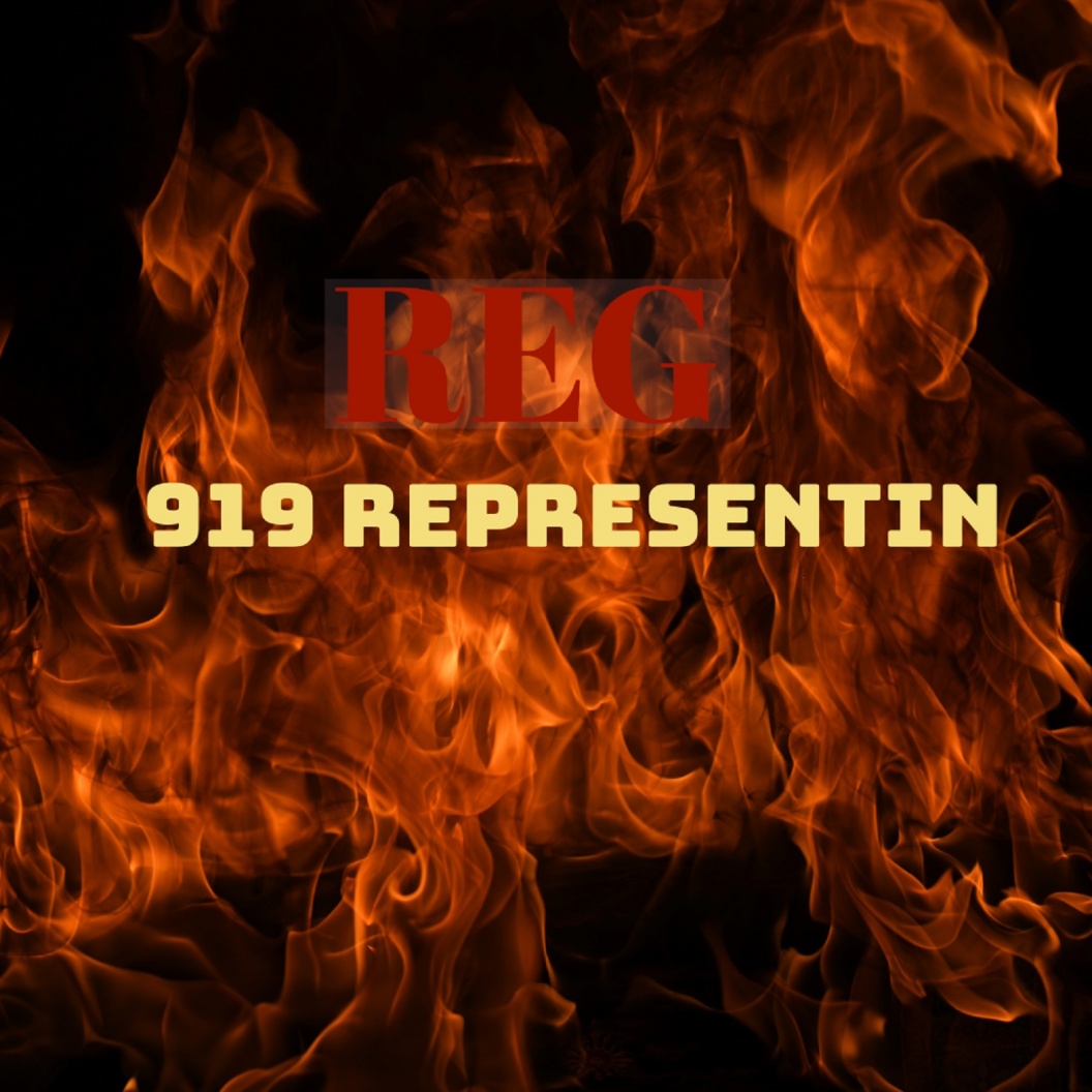 Image: REG 919 REPRESENTIN